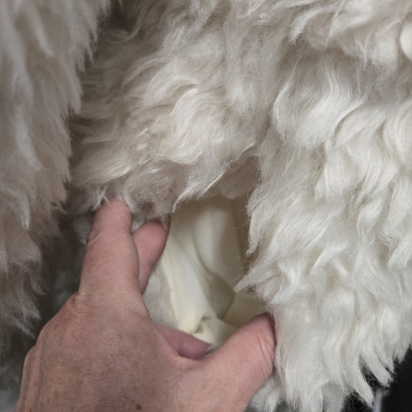 Dylan Los Angeles Faux Fur Shaggy Coat | Cream White | Size Small | NWT - Picture 5 of 10